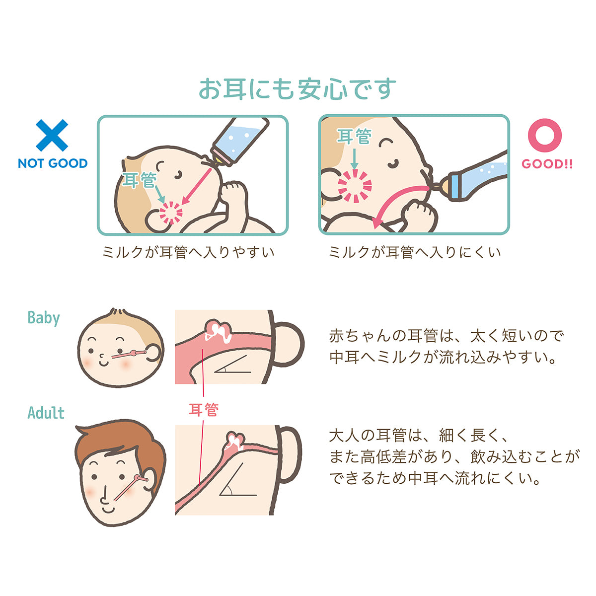 Doctor Betta製ミルクボトル１８０ml