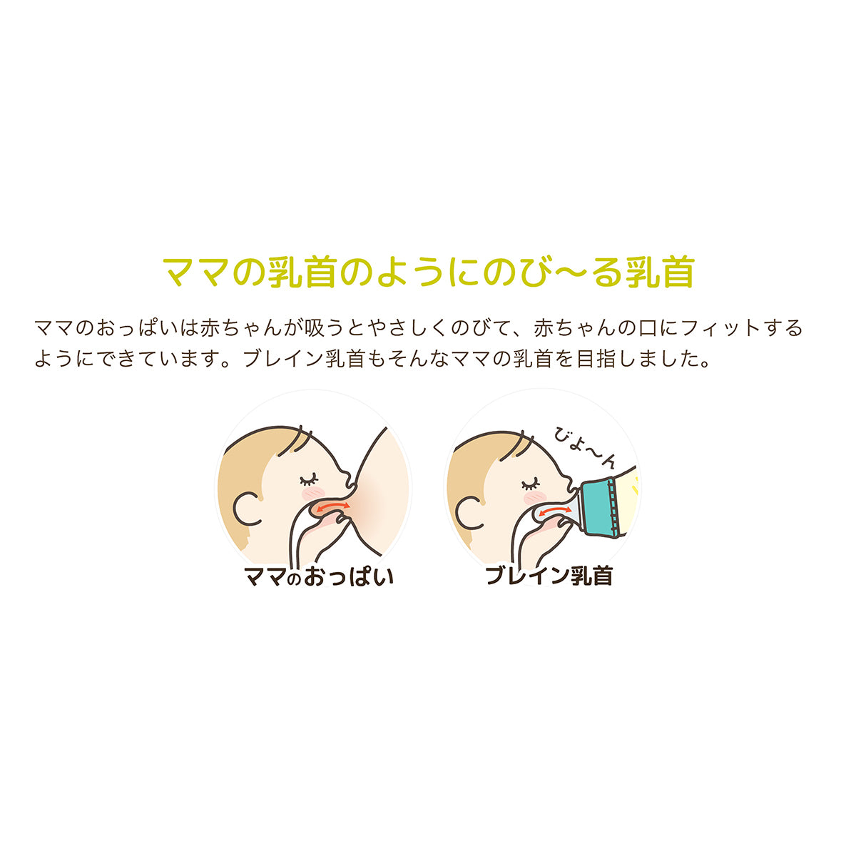 Doctor Betta製ミルクボトル２４０ml