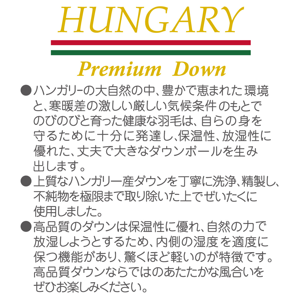 ダウンジャンパー