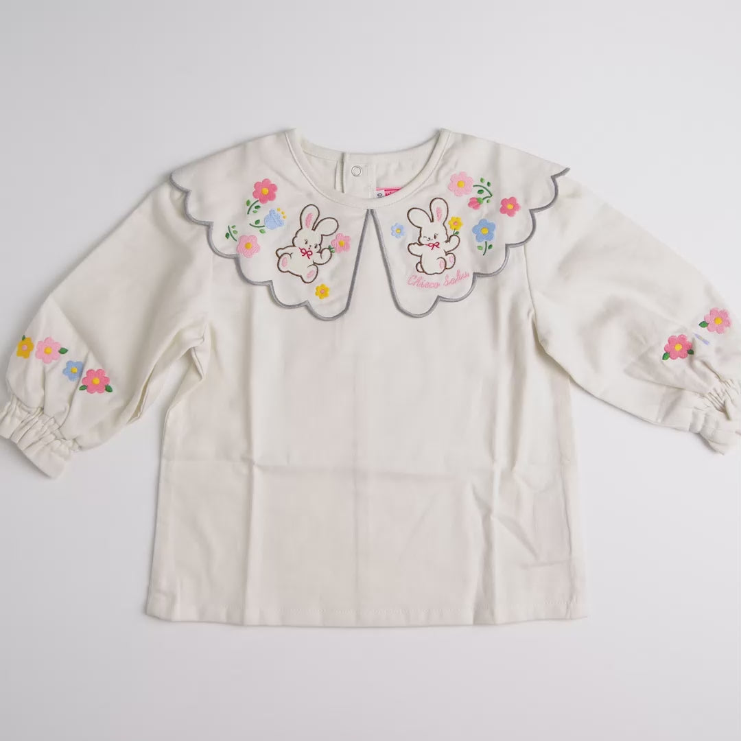 long sleeve blouse