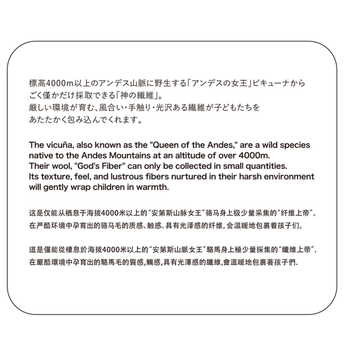 【黄金标签】天鹅绒×婴儿羊绒围巾（成人用）