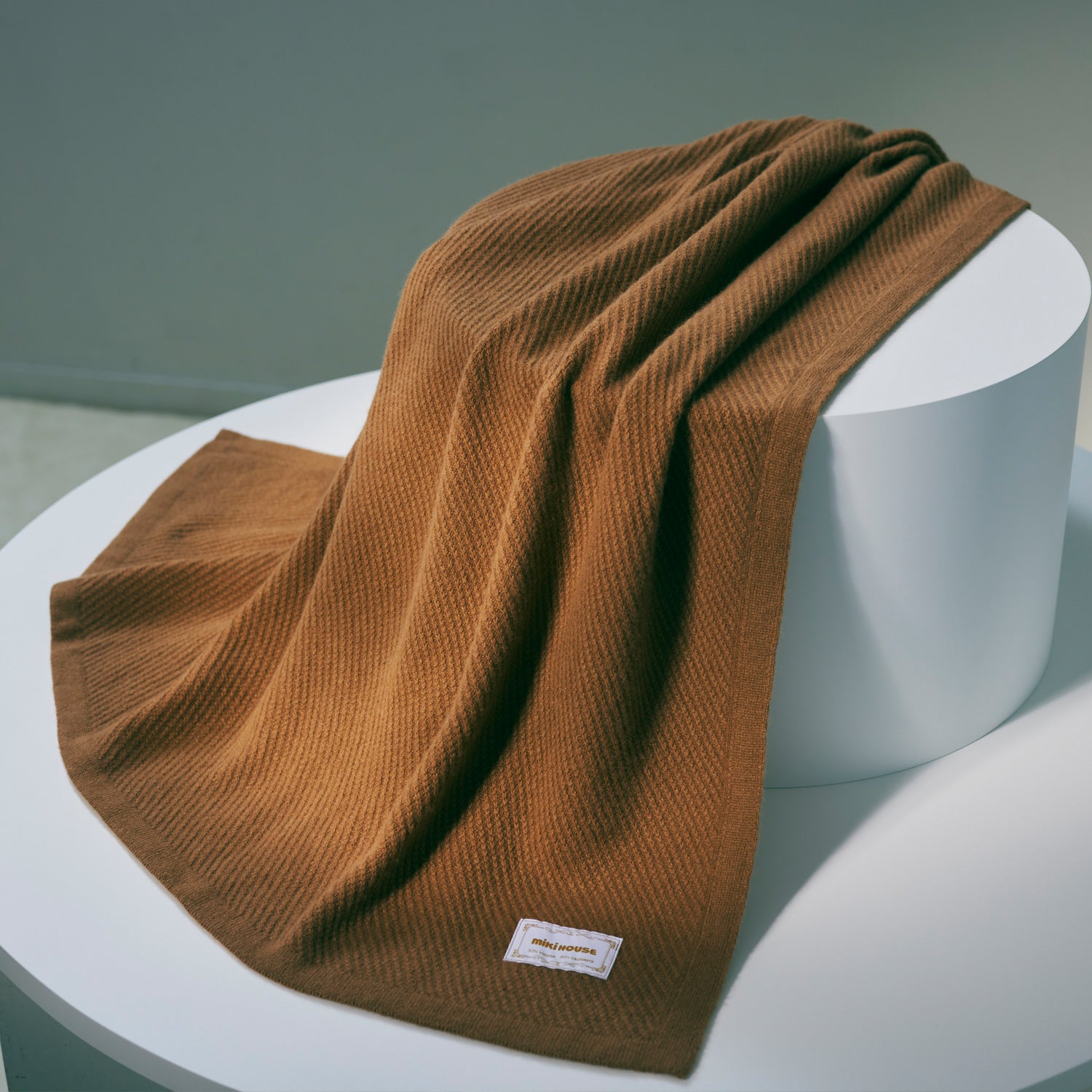 vicuna_model003.jpg?crop=