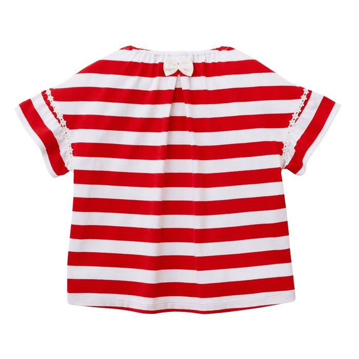 【感謝祭】半袖Ｔシャツ【配送希望日・キャンセル・返品不可】
