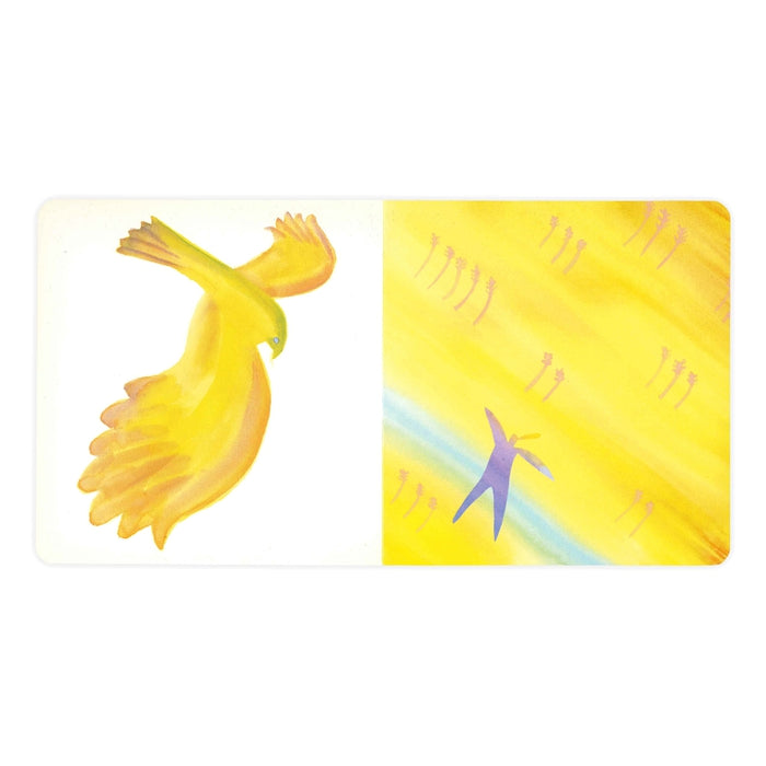 【彩虹图书】光