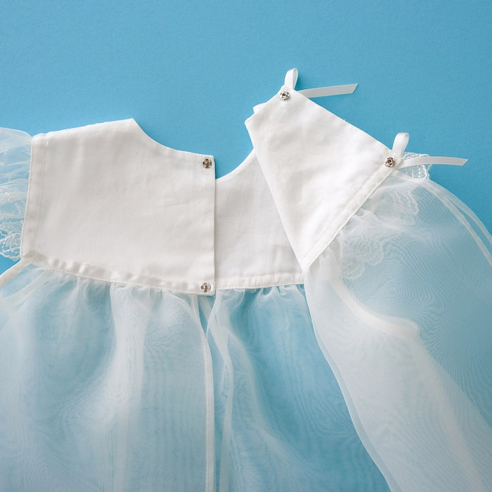 오르간 코트 [Box Entry]